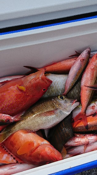 沖縄の釣り遊漁船情報交換所のオープンチャット