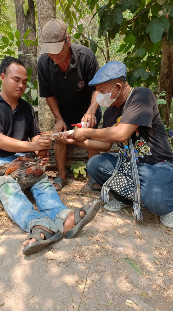 ซุ้มผู้พันไก่ชน