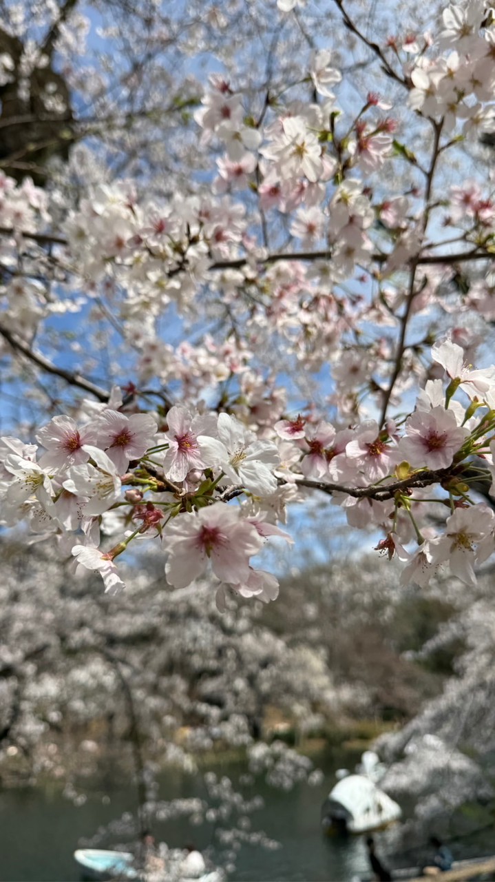 萬巒御宴坊04.05 日本員旅