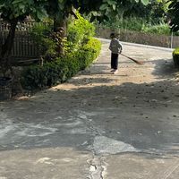 青農—-新化市集（鄭小智）