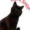 🐈‍⬛LGMI.SHOP 代購🌍