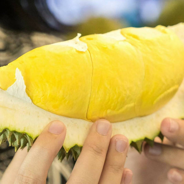 ㊣盅龐水產◇我泰想吃．冷凍榴槤◇內容量300公克±5%/包◇零$265元/包◇ 泰國榴槤 零售 批發