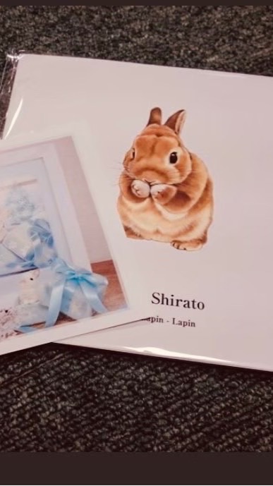 諮商幸福_婚姻秘密神秘小群