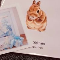 諮商幸福_婚姻秘密神秘小群