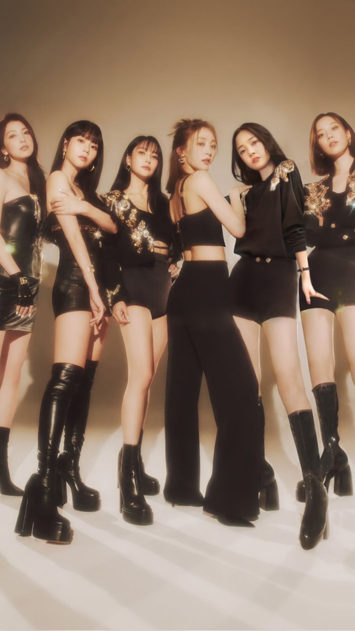 🇹🇼Taiwan kamilia