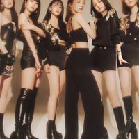 🇹🇼Taiwan kamilia