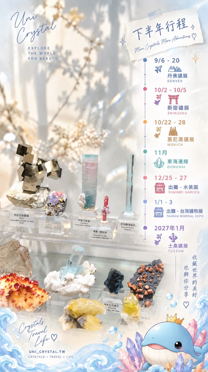 🐳🐳晶魚VIP-2群（2026限定）