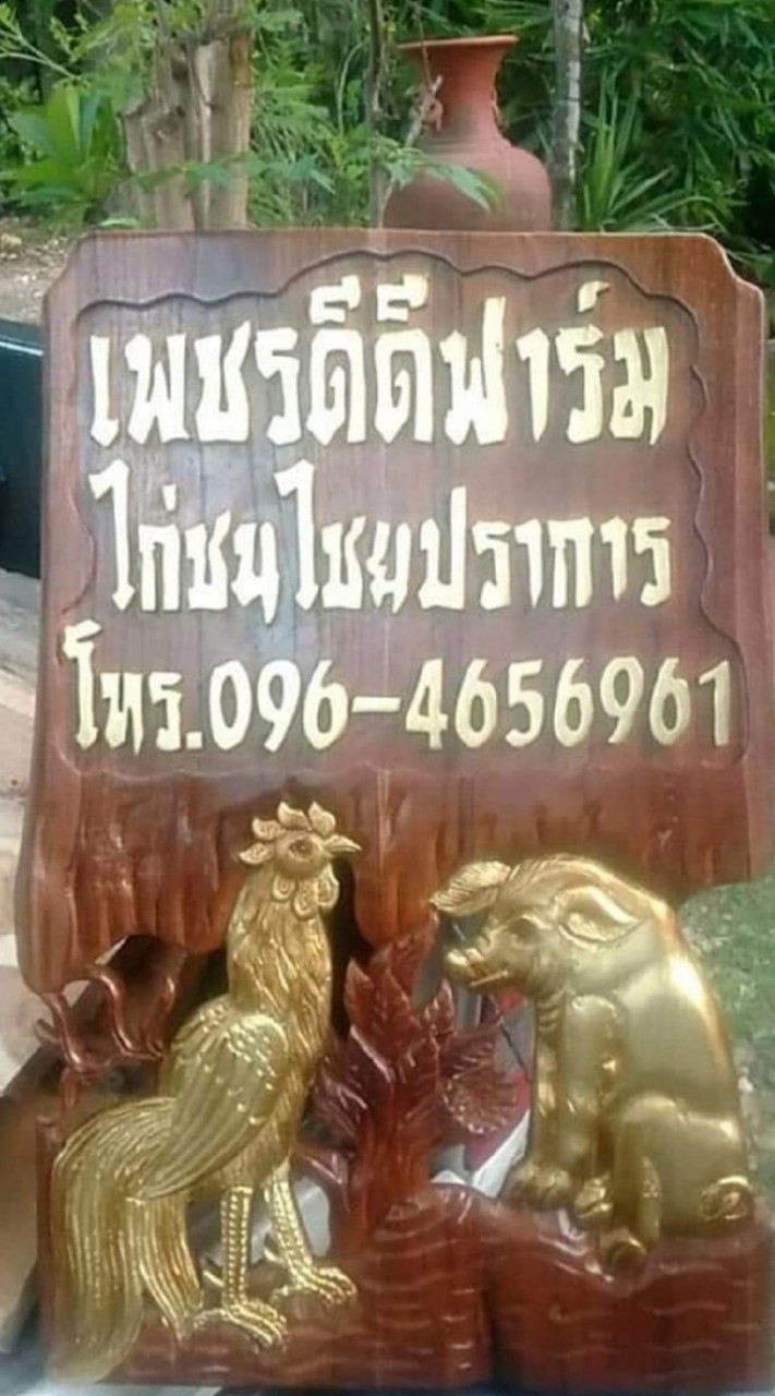 ดีดีฟาร์มไก่ชนไชยปราการ