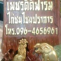 ดีดีฟาร์มไก่ชนไชยปราการ