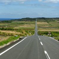 喜界島が好きな人または興味がある人　喜界島在住、移住予定or移住者の方