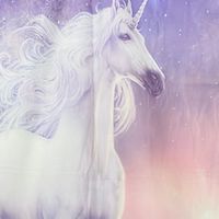 Sophie老師學員群