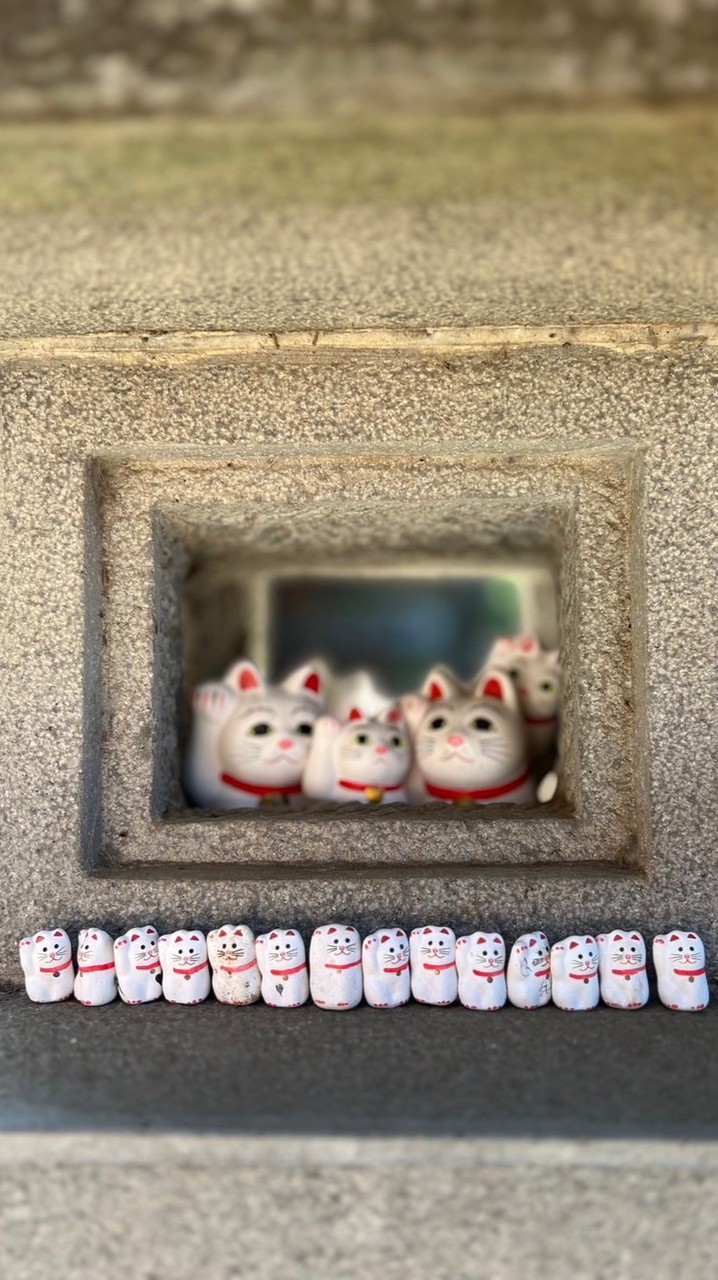 三義-鹽滷豆腐 豆漿