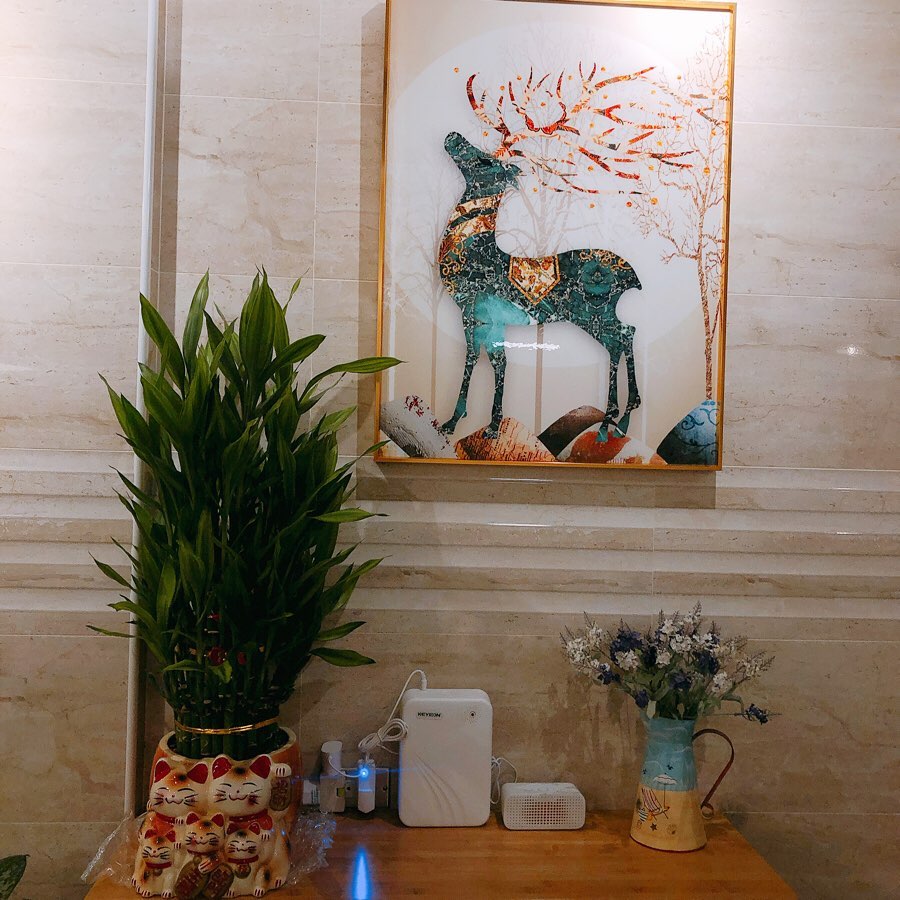 鹿旅 @zora Chuang1