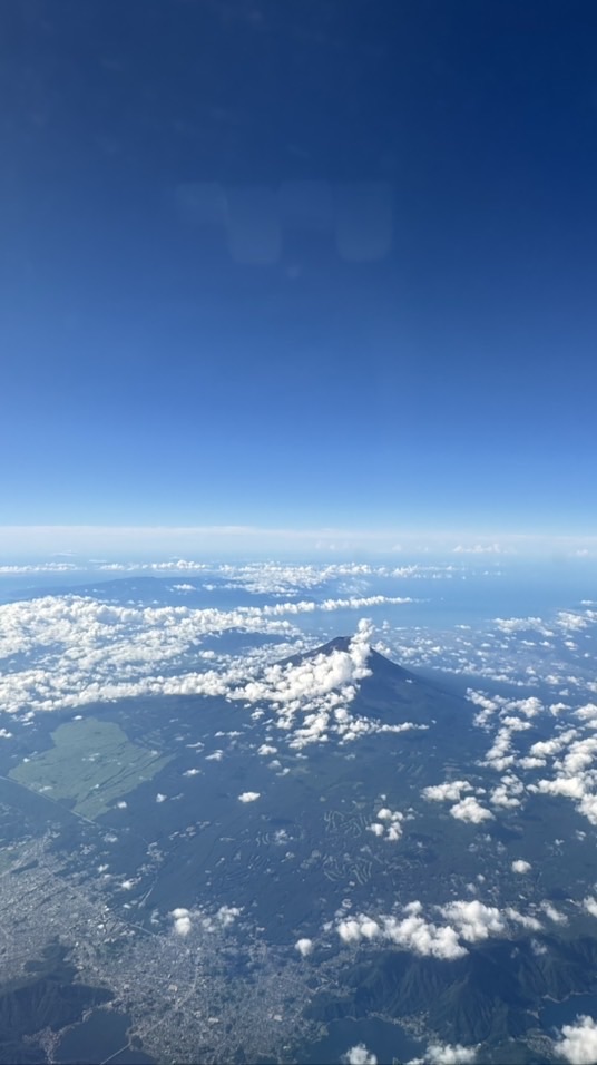 ドテラコンサル共有