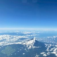 ドテラコンサル共有
