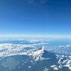 ドテラコンサル共有