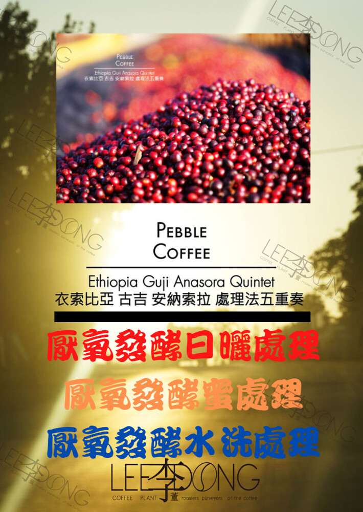 衣索比亞 古吉 安納索拉 ethiopia guji ana sora quintet 厭氧發酵日曬處理法 國家衣索比亞 (ethiopia) 產區oromia region 古吉 (guji zon