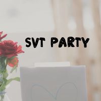 SVT趴踢💎