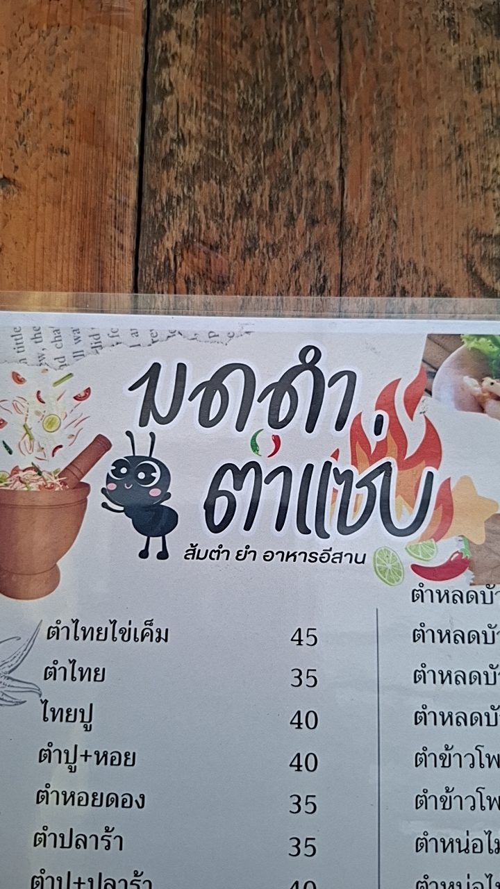 ร้านมดดำ ตำแซ่บ
