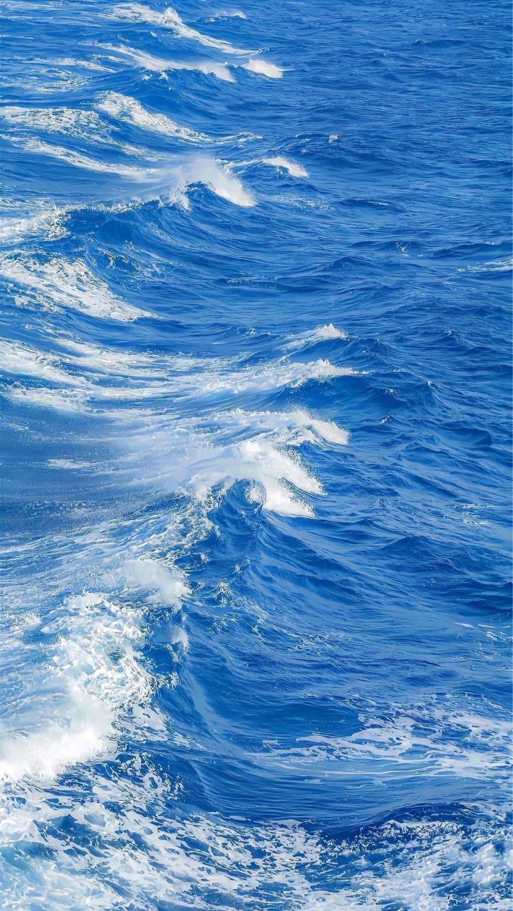 RyuBluu🫐