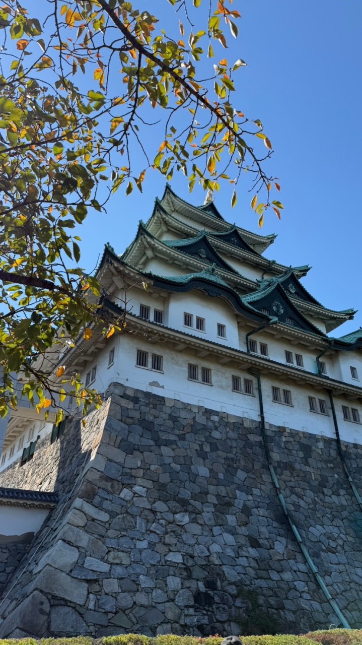 日本好好玩