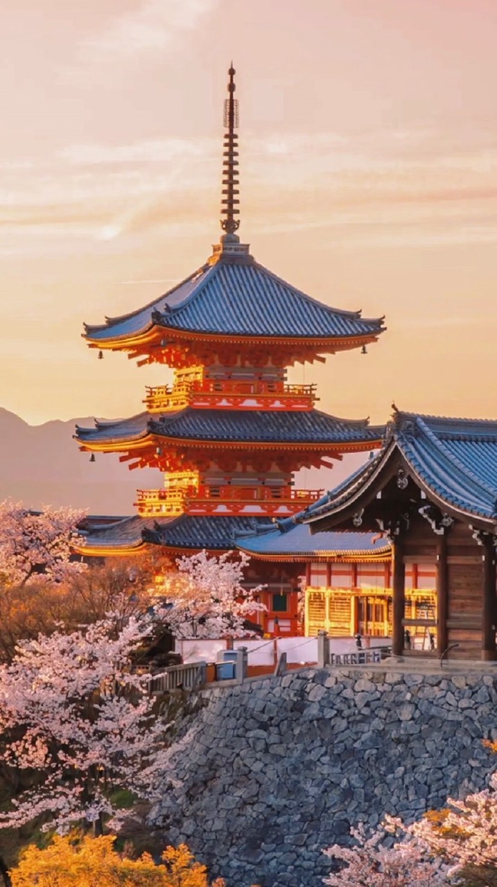 安和同楽🍀