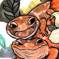《TaoGeckos淘守宮》交流討論區