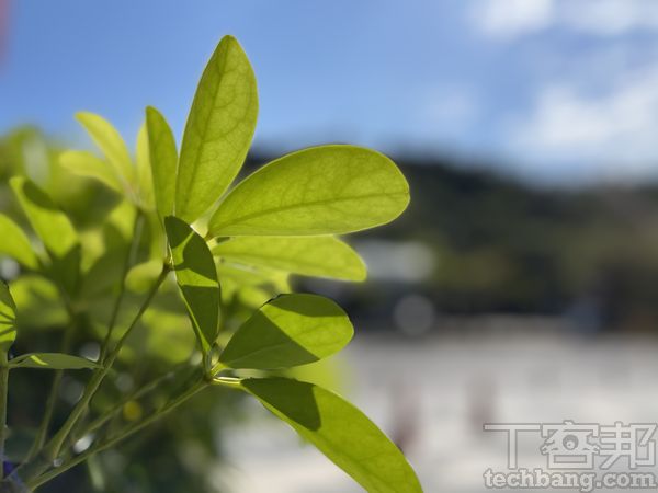 面對強光或是對著光源拍攝，還會有耀光的問題，可以試著換個角度，儘量避免對著陽光或強光拍攝，就可避免耀光產生。