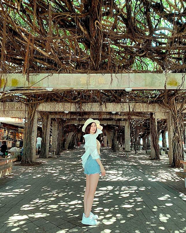 ▲澎湖通梁古榕。(圖/IG ＠_abby1217_)