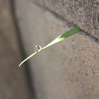 泛焦慮症(互助、討論區)
