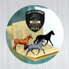 ถาม&ตอบ Gray Horse A/C