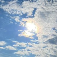 女性限定55歳〜ゆるくつながる🌷ひとりご・とつぶやき🌷