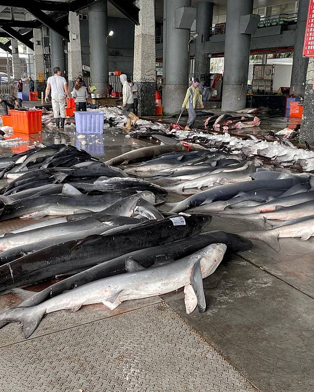 （圖片來源IG/@wuenlin）