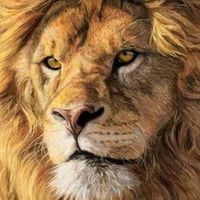 Long-term Traders