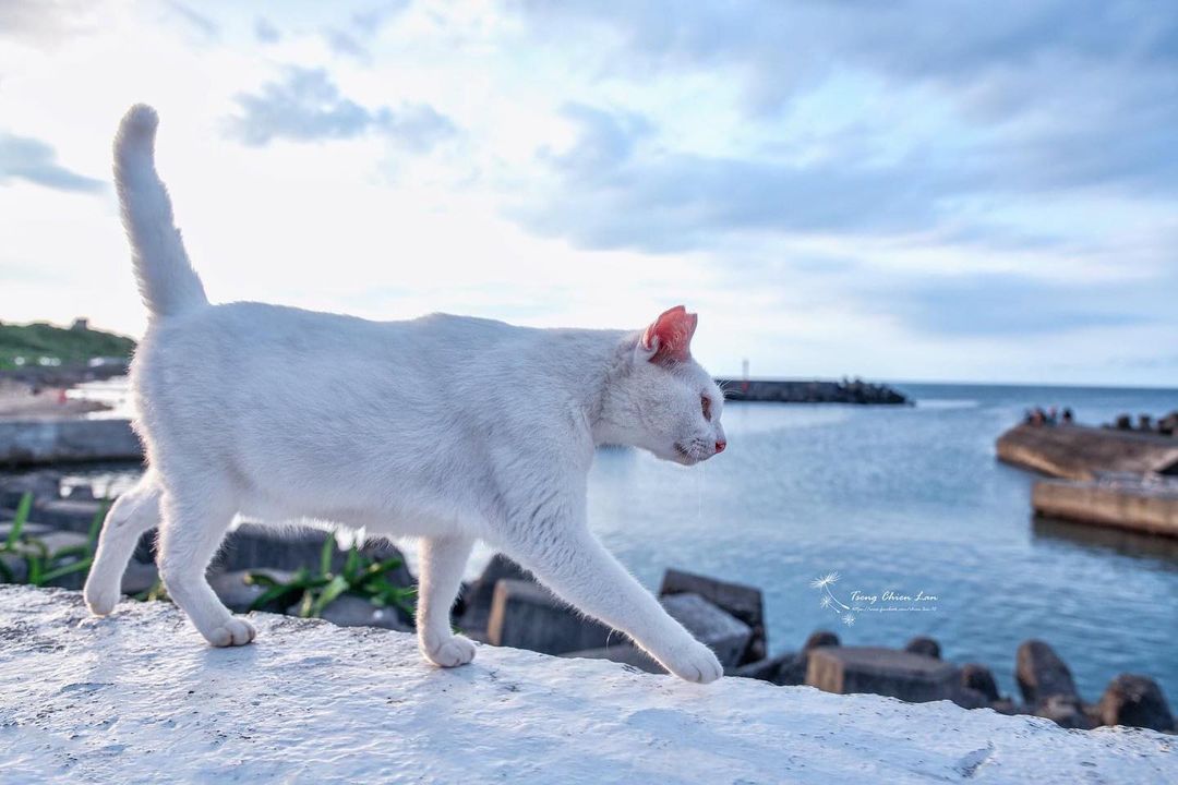 馬崗漁港 @chien Lan