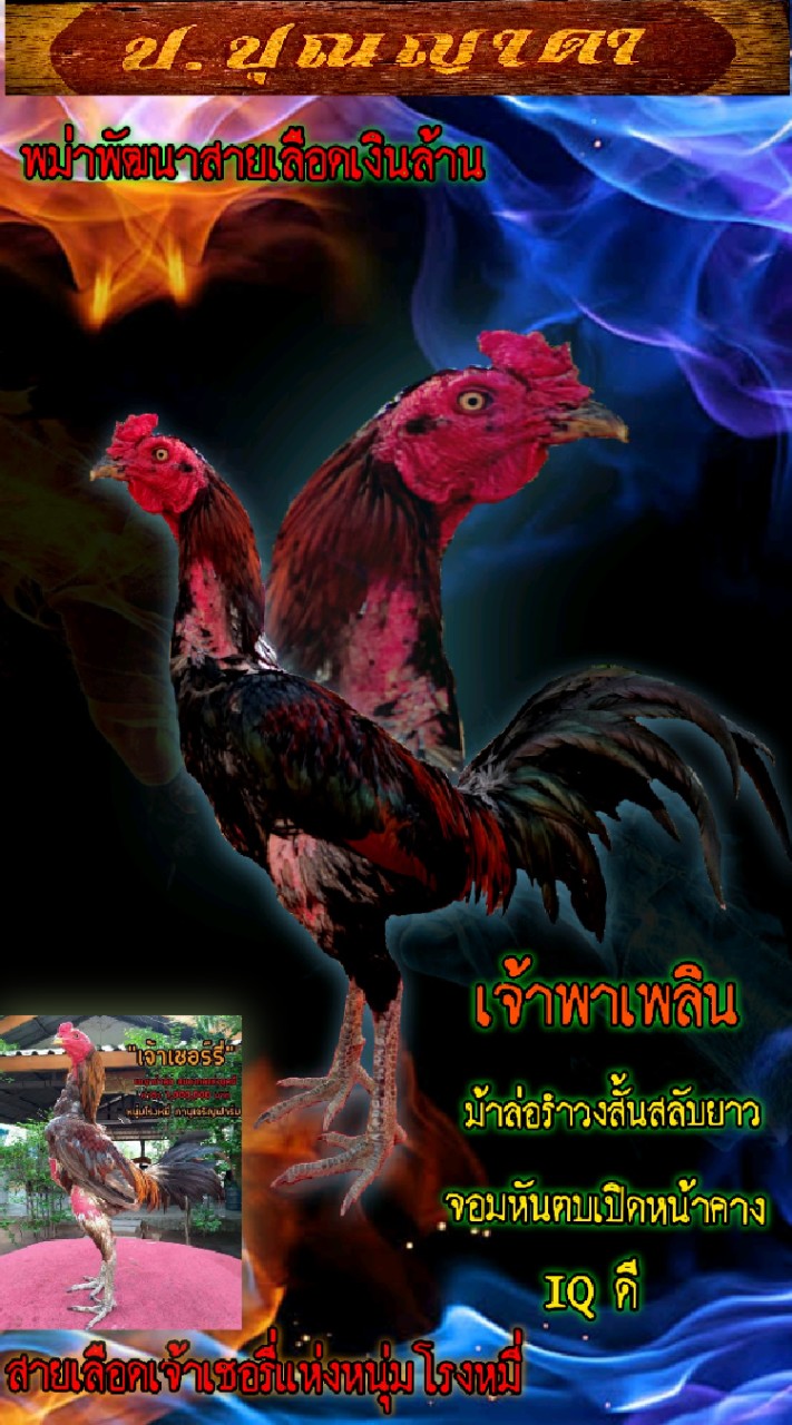 ป.ปุณญาดา
