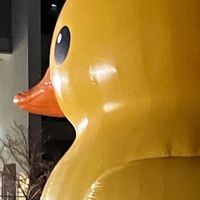 北海道ツーリング2026