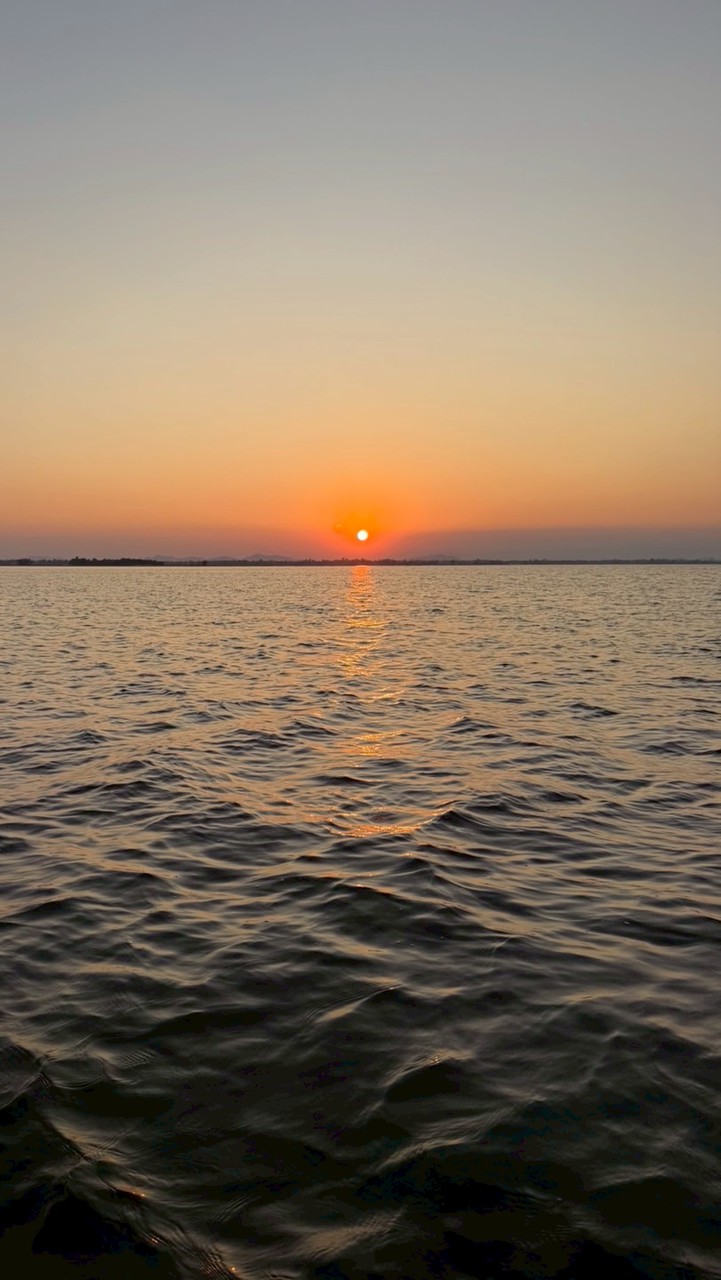 ปลากัดยักษ์ต๊อกแต๊กนครสวรรค์