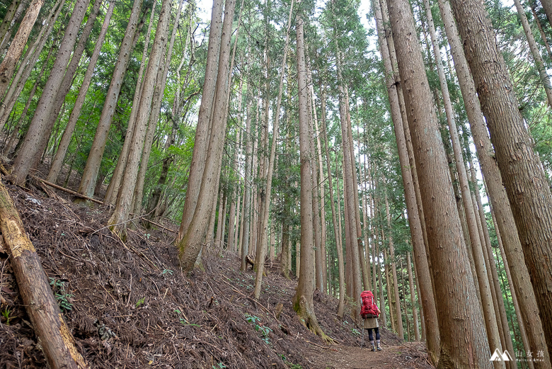 山女孩Melissa_奧多摩_雲取山-0790.jpg