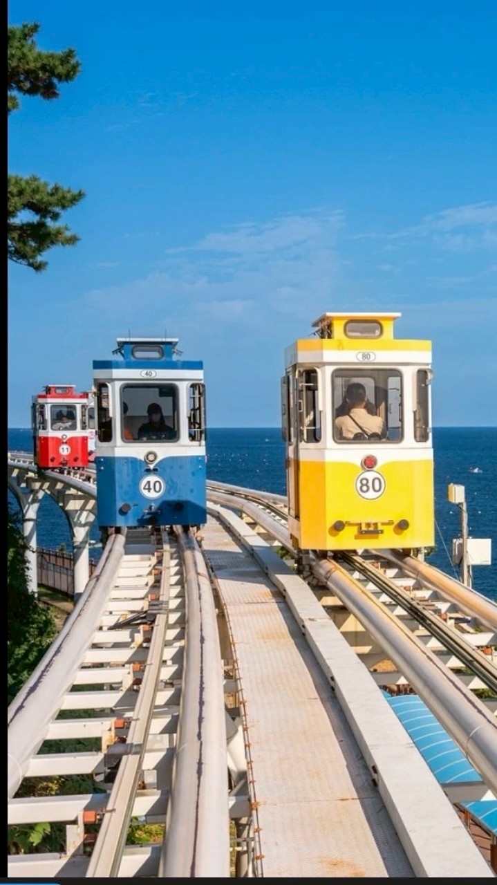 釜山楓旅