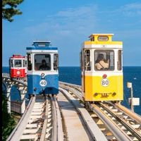 釜山楓旅