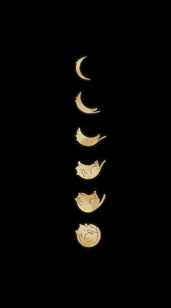 😺紅心揪遊戲😺