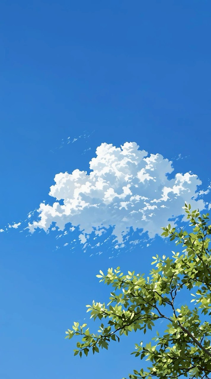 35+雲邊小憩之★圓3.0★