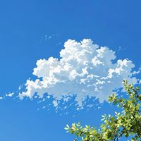 35+雲邊小憩之★圓3.0★