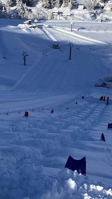 2026新潟県選手権MO/DM