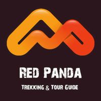 Red Panda