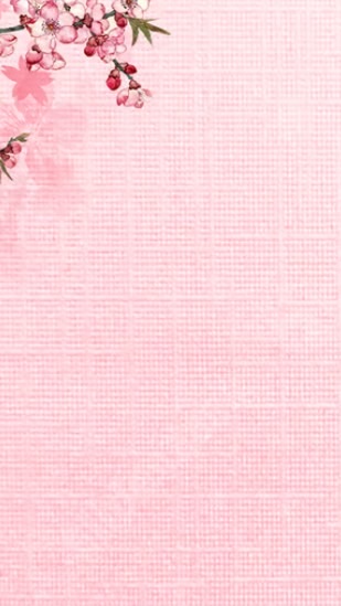 倆夫妻素食～🧑‍🌾👩‍🌾