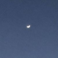 自由に雑談
