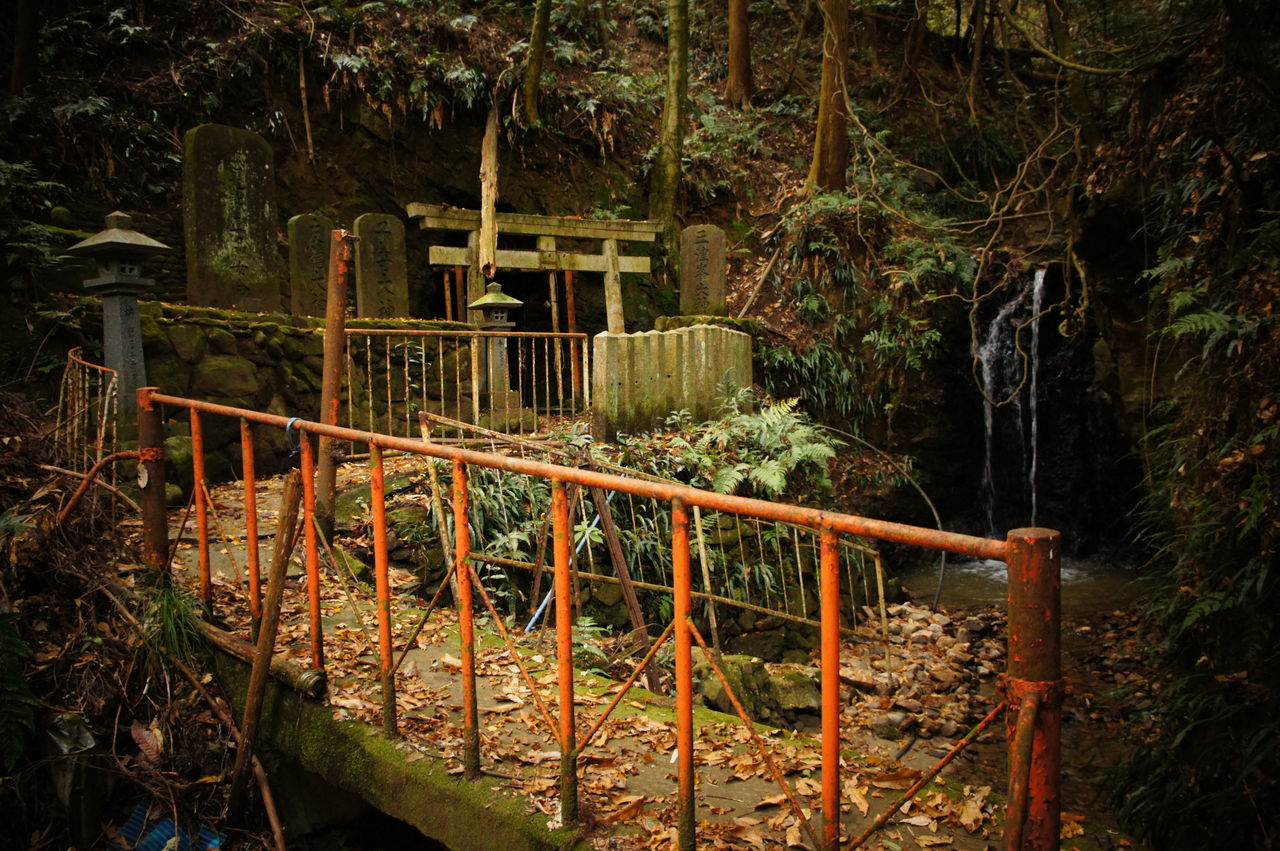 白高大神 柵欄遺址