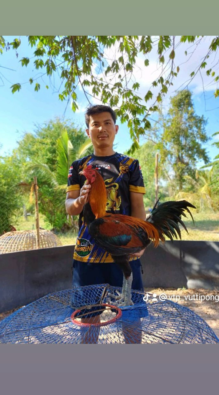 พ่อบักติส ฟาร์ม